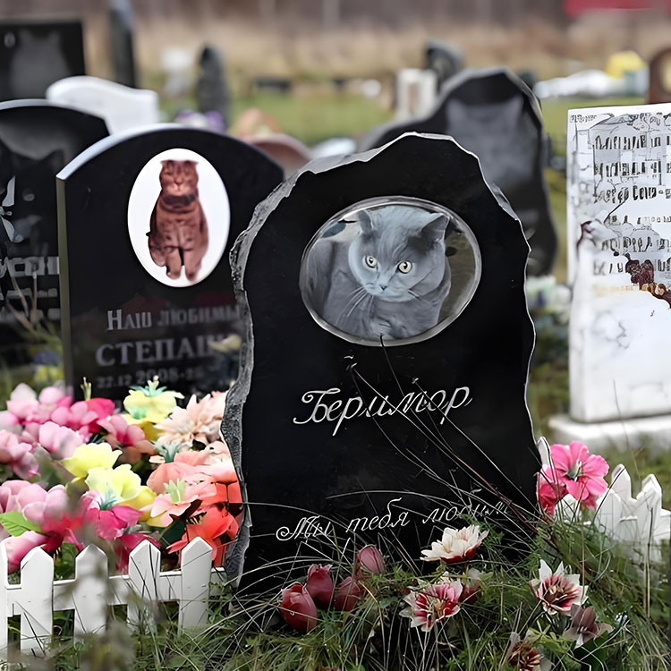 Jakie opcje dostosowywania podnieś tablice pamiątkowe dla zwierząt domowych poza podstawowymi nazwami?